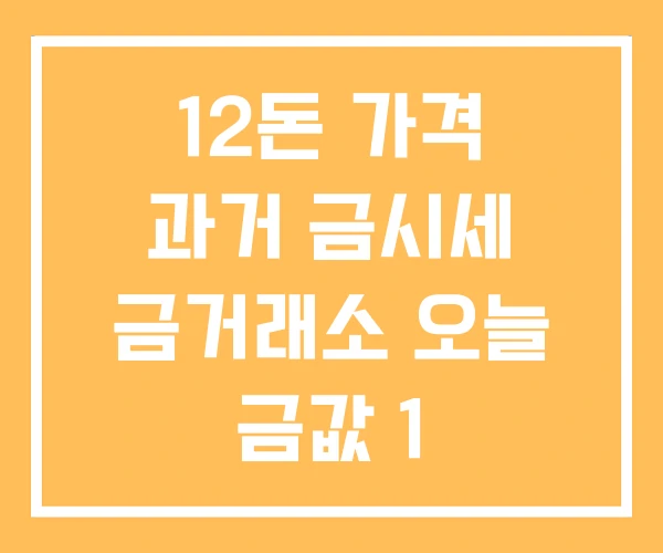 12돈 가격 과거 금시세 금거래소 오늘 금값 1 12돈 가격 과거 금시세 금거래소 오늘 금값 1