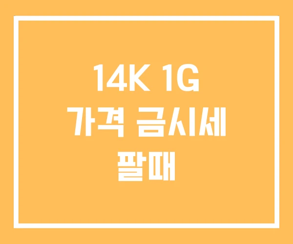 14K 1G 가격 금시세 팔때