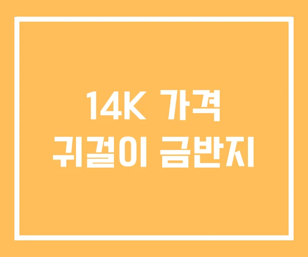 14K 가격 귀걸이 금반지