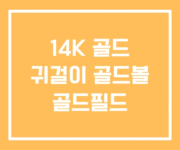 14K 골드 귀걸이 골드볼 골드필드 14K 골드 귀걸이 골드볼 골드필드