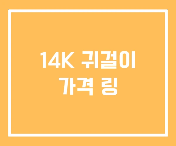 14K 귀걸이 가격 링