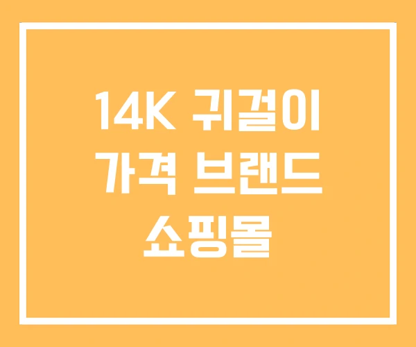 14K 귀걸이 가격 브랜드 쇼핑몰 14K 귀걸이 가격 브랜드 쇼핑몰
