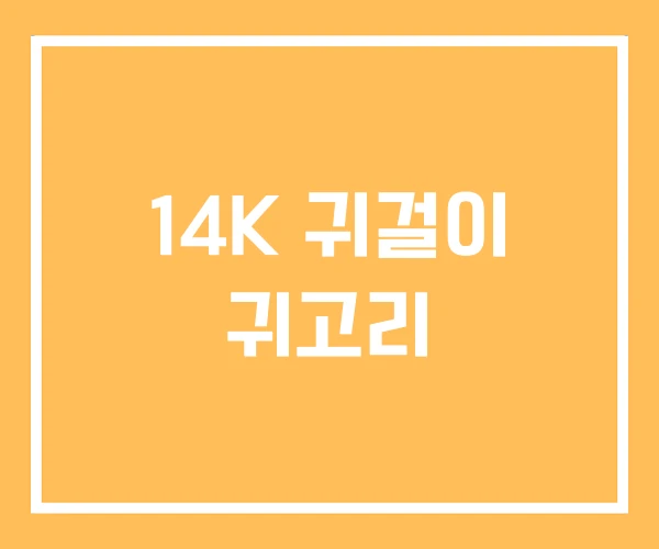 14K 귀걸이 귀고리 14K 귀걸이 귀고리