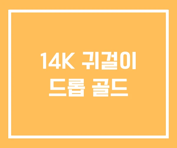 14K 귀걸이 드롭 골드 14K 귀걸이 드롭 골드
