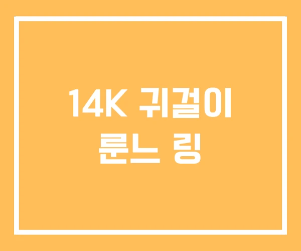 14K 귀걸이 룬느 링