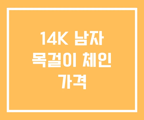 14K 남자 목걸이 체인 가격