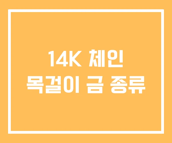 14K 체인 목걸이 금 종류 14K 체인 목걸이 금 종류