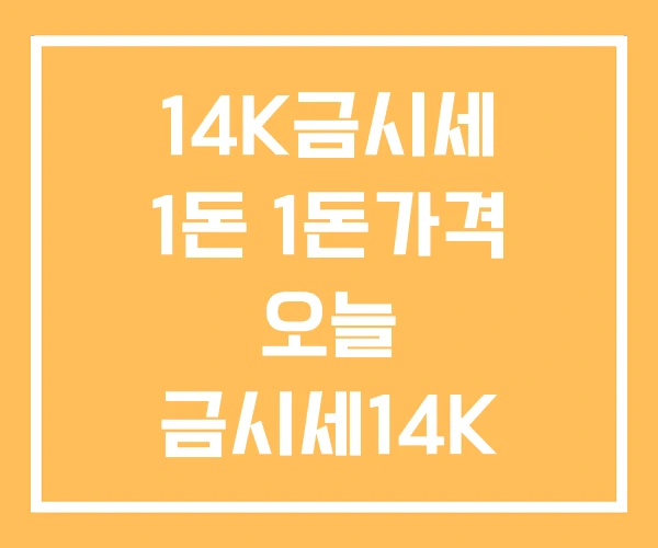 14K금시세 1돈 1돈가격 오늘 금시세14K 14K금시세 1돈 1돈가격 오늘 금시세14K