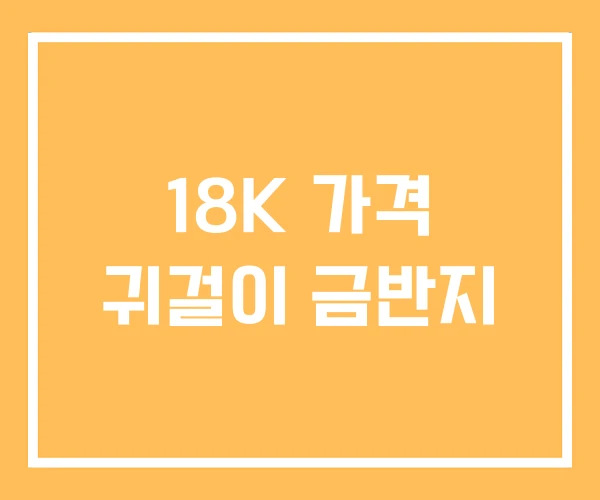 18K 가격 귀걸이 금반지 18K 가격 귀걸이 금반지