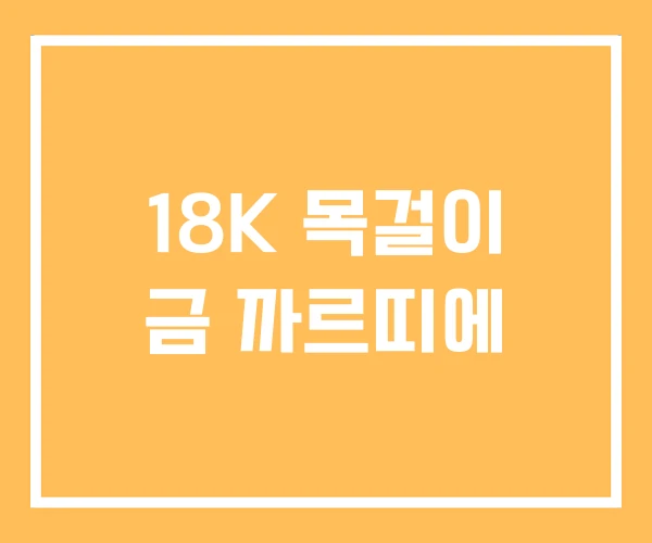 18K 목걸이 금 까르띠에