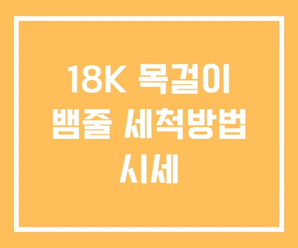 18K 목걸이 뱀줄 세척방법 시세 18K 목걸이 뱀줄 세척방법 시세
