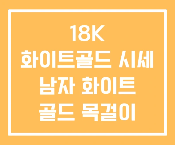 18K 화이트골드 시세 남자 화이트 골드 목걸이