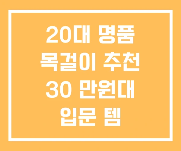 20대 명품 목걸이 추천 30 만원대 입문 템