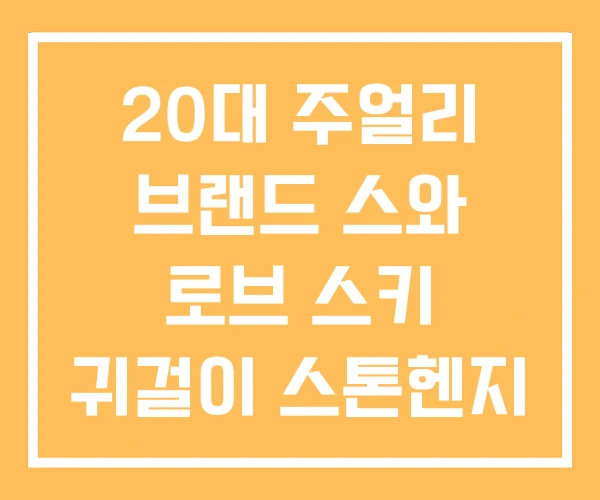 20대 주얼리 브랜드 스와 로브 스키 귀걸이 스톤헨지 20대 주얼리 브랜드 스와 로브 스키 귀걸이 스톤헨지
