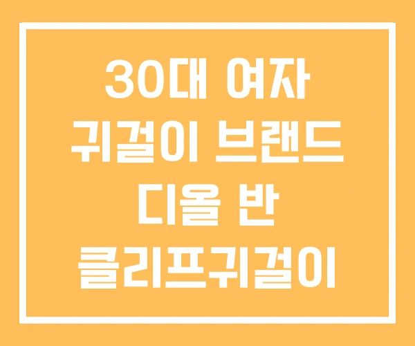 30대 여자 귀걸이 브랜드 디올 반 클리프귀걸이 30대 여자 귀걸이 브랜드 디올 반 클리프귀걸이