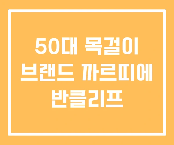 50대 목걸이 브랜드 까르띠에 반클리프 50대 목걸이 브랜드 까르띠에 반클리프