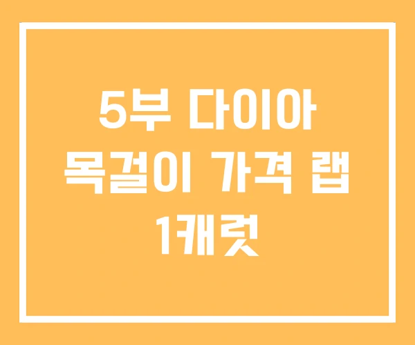 5부 다이아 목걸이 가격 랩 1캐럿