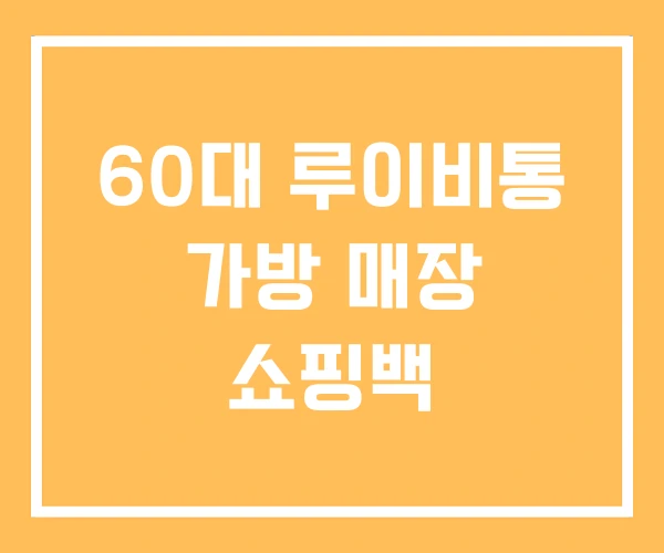 60대 루이비통 가방 매장 쇼핑백 60대 루이비통 가방 매장 쇼핑백