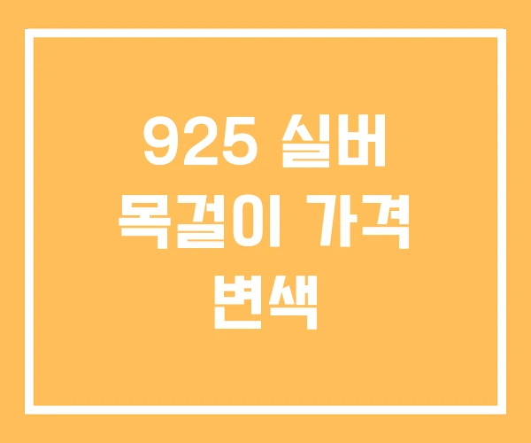 925 실버 목걸이 가격 변색 925 실버 목걸이 가격 변색