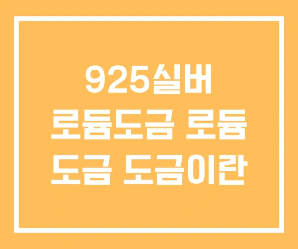 925실버 로듐도금 로듐 도금 도금이란 925실버 로듐도금 로듐 도금 도금이란