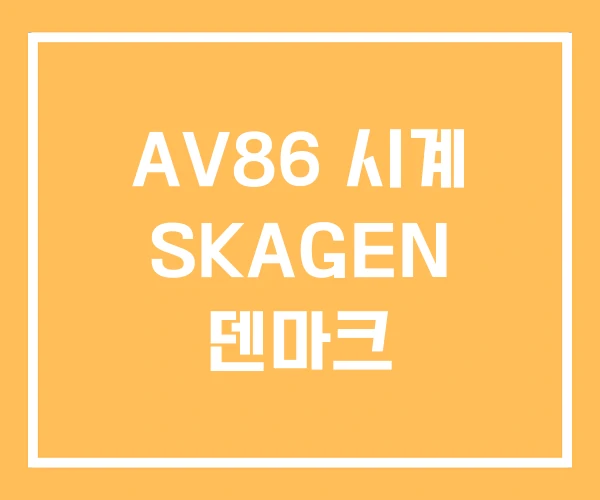 AV86 시계 SKAGEN 덴마크 AV86 시계 SKAGEN 덴마크