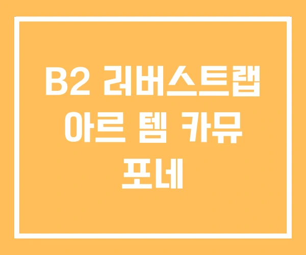 B2 러버스트랩 아르 템 카뮤 포네 B2 러버스트랩 아르 템 카뮤 포네