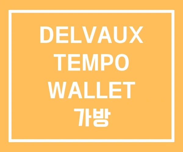 DELVAUX TEMPO WALLET 가방