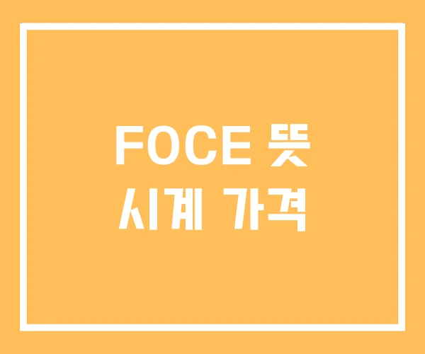 FOCE 뜻 시계 가격 FOCE 뜻 시계 가격