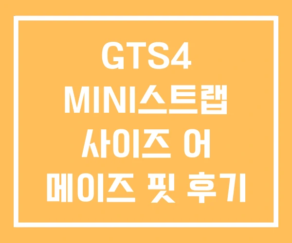 GTS4 MINI스트랩 사이즈 어 메이즈 핏 후기