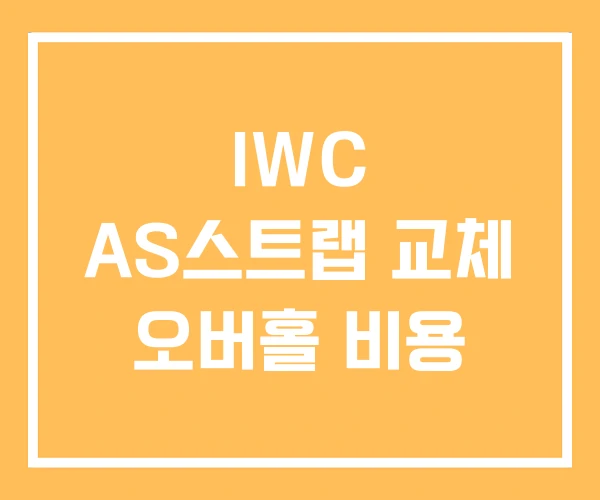 IWC AS스트랩 교체 오버홀 비용 IWC AS스트랩 교체 오버홀 비용