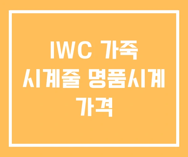 IWC 가죽 시계줄 명품시계 가격 IWC 가죽 시계줄 명품시계 가격