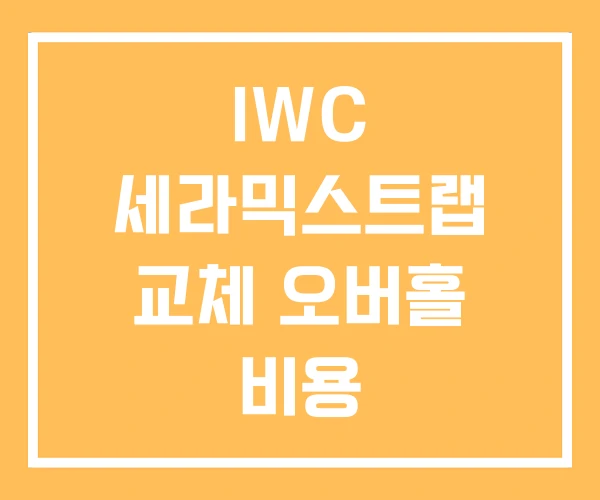 IWC 세라믹스트랩 교체 오버홀 비용