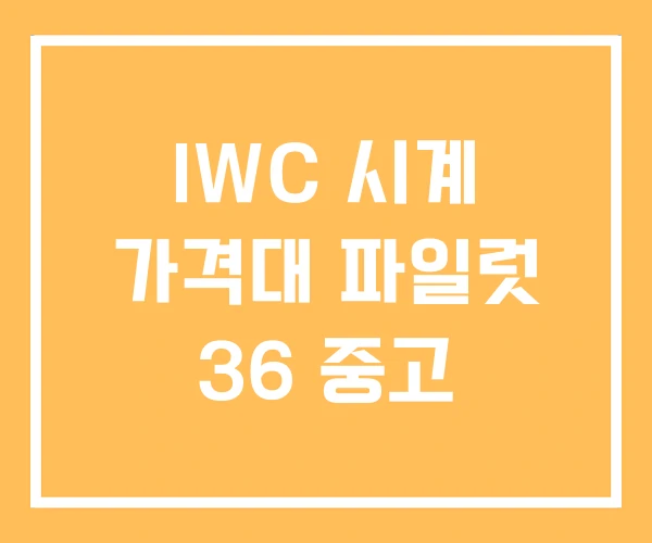 IWC 시계 가격대 파일럿 36 중고 IWC 시계 가격대 파일럿 36 중고