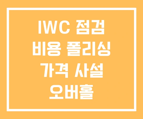 IWC 점검 비용 폴리싱 가격 사설 오버홀
