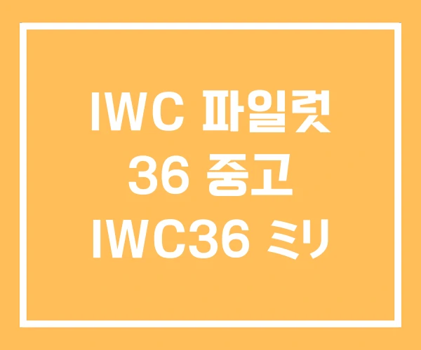 IWC 파일럿 36 중고 IWC36 ミリ IWC 파일럿 36 중고 IWC36 ミリ