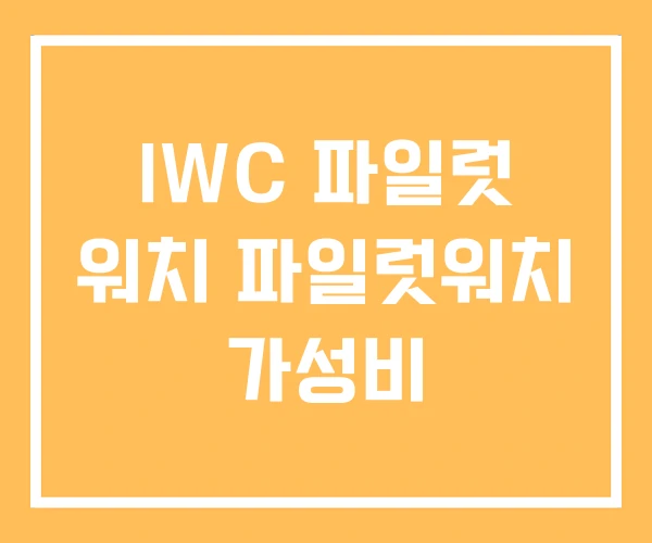 IWC 파일럿 워치 파일럿워치 가성비 IWC 파일럿 워치 파일럿워치 가성비
