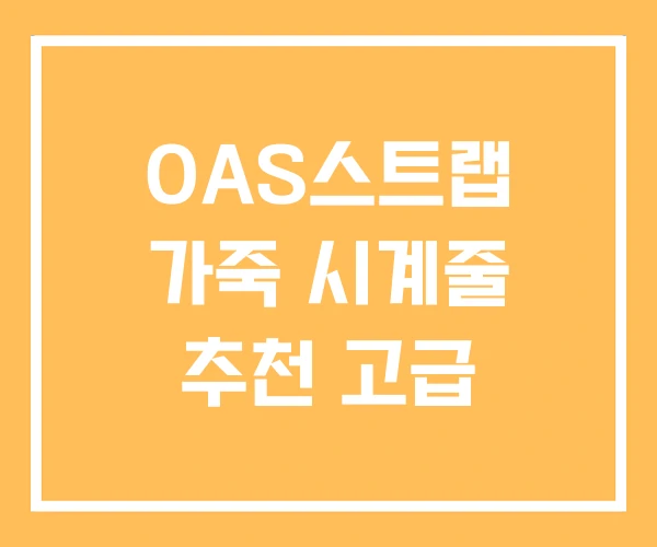 OAS스트랩 가죽 시계줄 추천 고급 OAS스트랩 가죽 시계줄 추천 고급