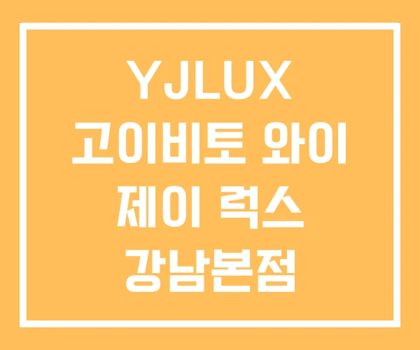 YJLUX 고이비토 와이 제이 럭스 강남본점 YJLUX 고이비토 와이 제이 럭스 강남본점