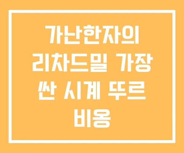 가난한자의 리차드밀 가장 싼 시계 뚜르 비옹 가난한자의 리차드밀 가장 싼 시계 뚜르 비옹