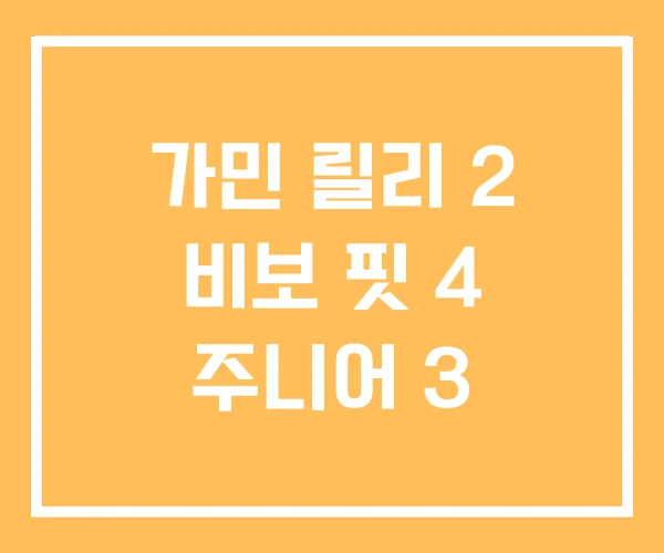 가민 릴리 2 비보 핏 4 주니어 3
