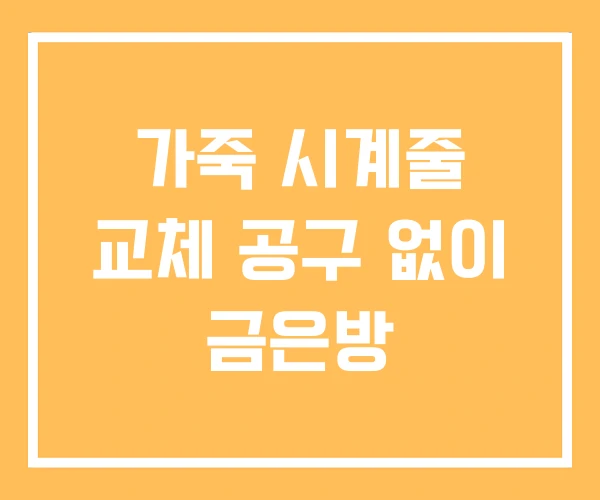 가죽 시계줄 교체 공구 없이 금은방