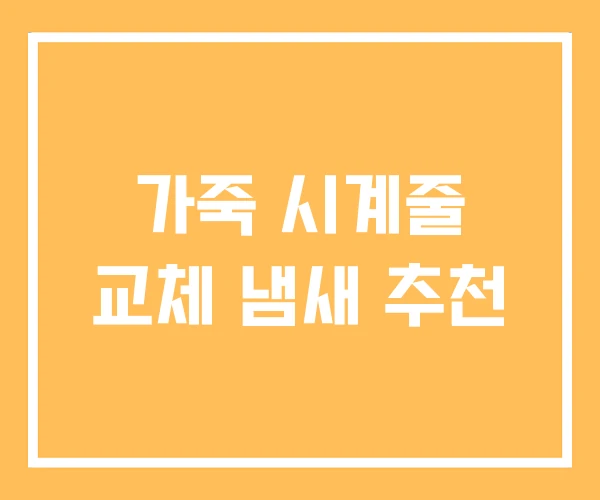 가죽 시계줄 교체 냄새 추천 가죽 시계줄 교체 냄새 추천