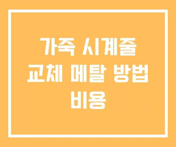 가죽 시계줄 교체 메탈 방법 비용 가죽 시계줄 교체 메탈 방법 비용