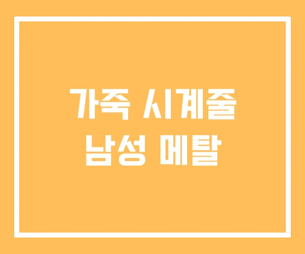 가죽 시계줄 남성 메탈 가죽 시계줄 남성 메탈