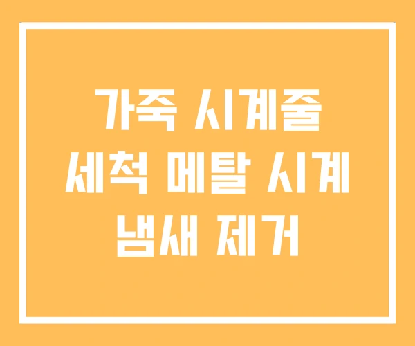 가죽 시계줄 세척 메탈 시계 냄새 제거