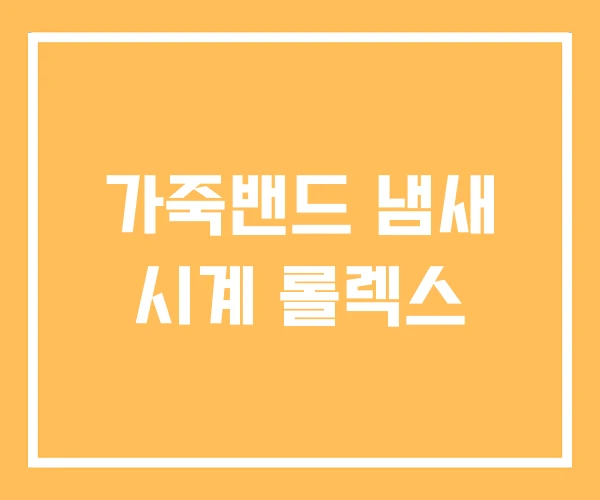 가죽밴드 냄새 시계 롤렉스 가죽밴드 냄새 시계 롤렉스