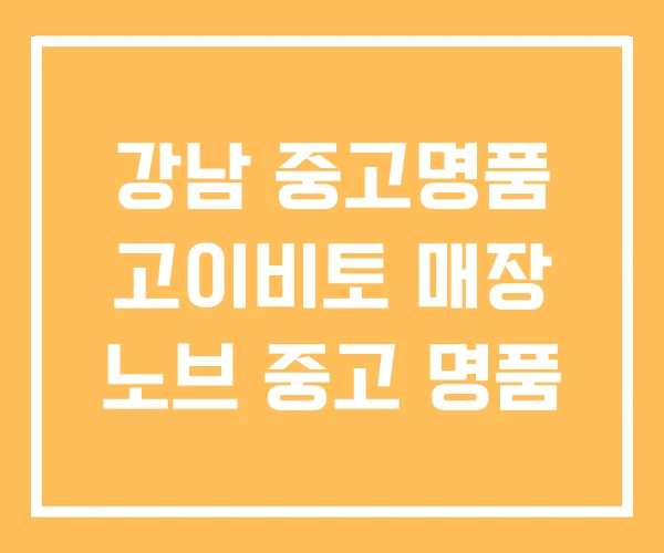 강남 중고명품 고이비토 매장 노브 중고 명품