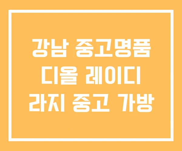 강남 중고명품 디올 레이디 라지 중고 가방 강남 중고명품 디올 레이디 라지 중고 가방