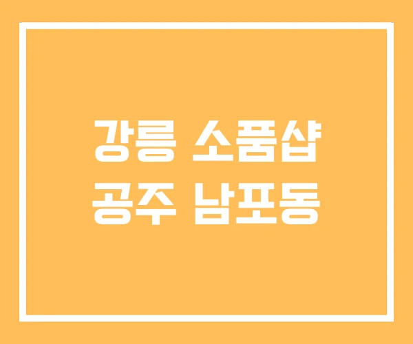 강릉 소품샵 공주 남포동 강릉 소품샵 공주 남포동