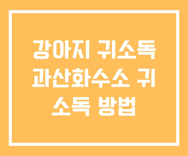 강아지 귀소독 과산화수소 귀 소독 방법